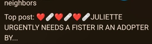 Nextdoor is pretty wild