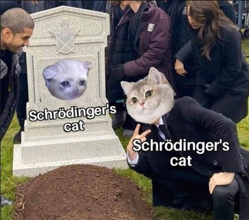 Image of a gravestone with a cat. "Schrodinger's Cat." Image of a man kneeling next ot the grave making a peace sign, his head photoshopped with another cat's head. "Schrodinger's Cat."