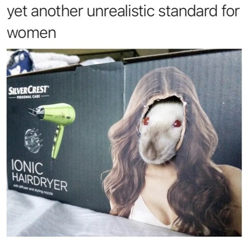 "yet another unrealistic standard for women". Picture of a hairdryer carton where a mouse is looking through a hole in the face of the woman on the side