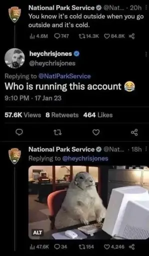 Microblog post by a National Park Service: "You know it's cold outside when you go outside and it's cold.". Reply: "Who is running this account 😂". Reply by National Park Service is a picture of Capybara looking animal in front of a computer with a headset